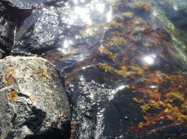 Sommerlige tanker fra en kvinne med filosofisk solstikk | edgeofaword